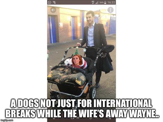 A DOGS NOT JUST FOR INTERNATIONAL BREAKS WHILE THE WIFE’S AWAY WAYNE.. | made w/ Imgflip meme maker