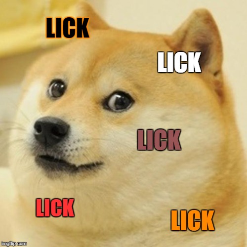 Doge Meme | LICK LICK LICK LICK LICK | image tagged in memes,doge | made w/ Imgflip meme maker