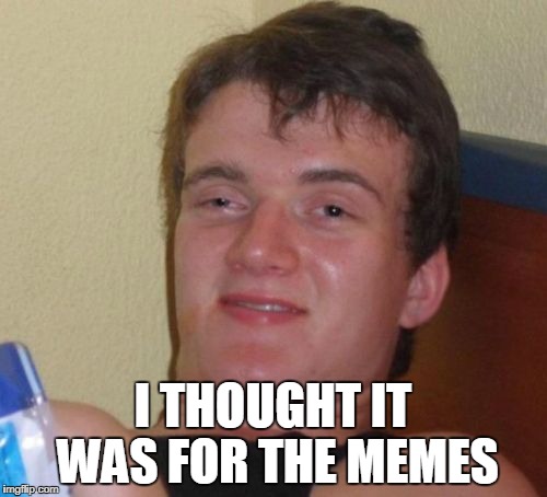 10 Guy Meme | I THOUGHT IT WAS FOR THE MEMES | image tagged in memes,10 guy | made w/ Imgflip meme maker