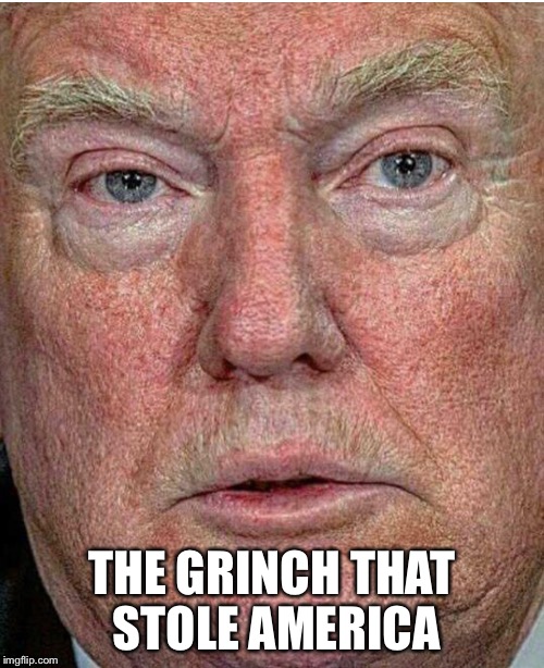 THE GRINCH THAT STOLE AMERICA | image tagged in donald trump,the grinch,christmas | made w/ Imgflip meme maker