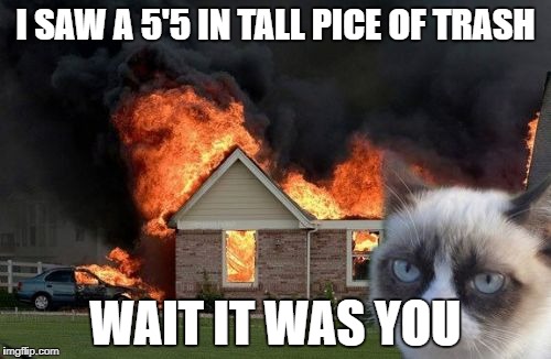 Burn Kitty | I SAW A 5'5 IN TALL PICE OF TRASH; WAIT IT WAS YOU | image tagged in memes,burn kitty,grumpy cat | made w/ Imgflip meme maker