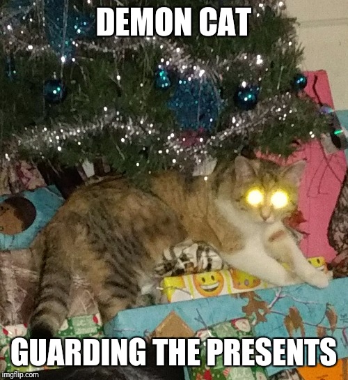 DEMON CAT; GUARDING THE PRESENTS | image tagged in annabelle | made w/ Imgflip meme maker
