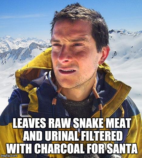 Santa will be thrilled  |  LEAVES RAW SNAKE MEAT AND URINAL FILTERED WITH CHARCOAL FOR SANTA | image tagged in memes,bear grylls,jbmemegeek,christmas,christmas memes | made w/ Imgflip meme maker