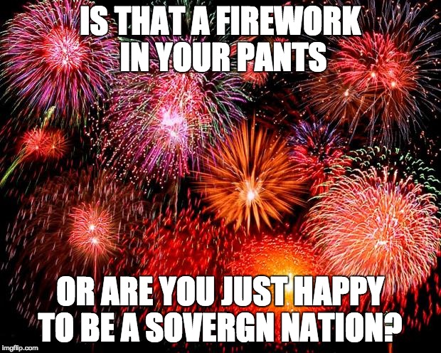 fireworks | IS THAT A FIREWORK IN YOUR PANTS; OR ARE YOU JUST HAPPY TO BE A SOVERGN NATION? | image tagged in fireworks | made w/ Imgflip meme maker
