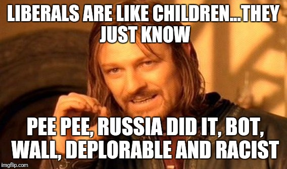 One Does Not Simply | LIBERALS ARE LIKE CHILDREN...THEY JUST KNOW; PEE PEE, RUSSIA DID IT, BOT, WALL, DEPLORABLE AND RACIST | image tagged in memes,one does not simply | made w/ Imgflip meme maker