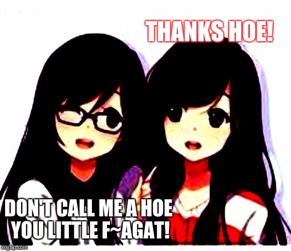 THANKS HOE! DON'T CALL ME A HOE YOU LITTLE F~AGAT! | image tagged in dest hoes | made w/ Imgflip meme maker