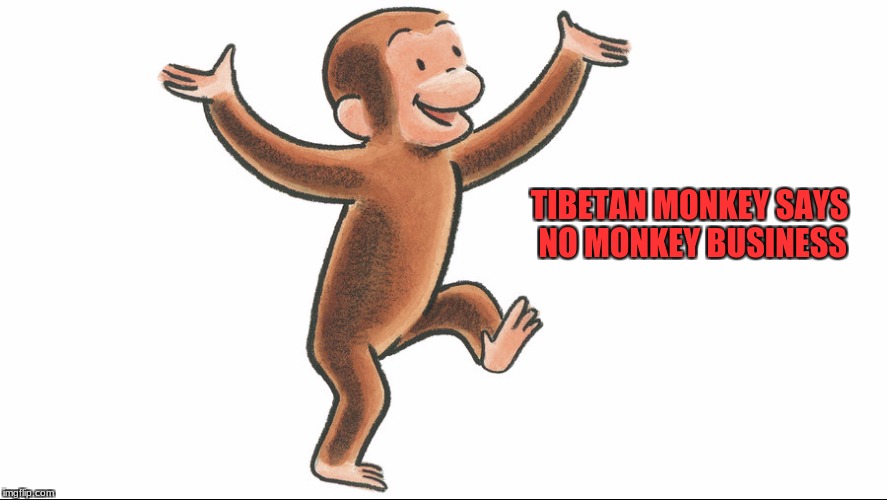 Curious George | TIBETAN MONKEY SAYS NO MONKEY BUSINESS | image tagged in monkey business | made w/ Imgflip meme maker