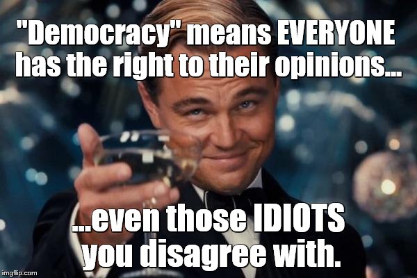 Leonardo Dicaprio Cheers Meme | "Democracy" means EVERYONE has the right to their opinions... ...even those IDIOTS you disagree with. | image tagged in memes,leonardo dicaprio cheers | made w/ Imgflip meme maker