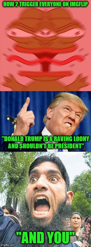 Tis the season to be hateful... SCREW SCREW SCREW SCREW SCREW, SCREW SCREW YOU ALL | HOW 2 TRIGGER EVERYONE ON IMGFLIP; "DONALD TRUMP IS A RAVING LOONY AND SHOULDN'T BE PRESIDENT"; "AND YOU" | image tagged in memes,trump,muslim,triggered | made w/ Imgflip meme maker