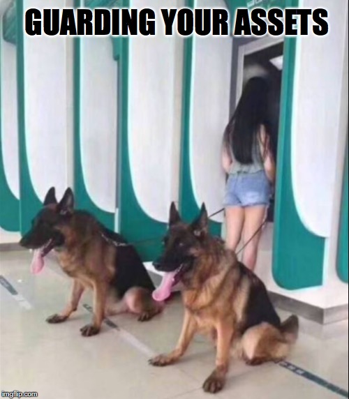 Ready for a rear guard action | GUARDING YOUR ASSETS | image tagged in guard,dogs,german shepherd,sexual harassment,theft | made w/ Imgflip meme maker