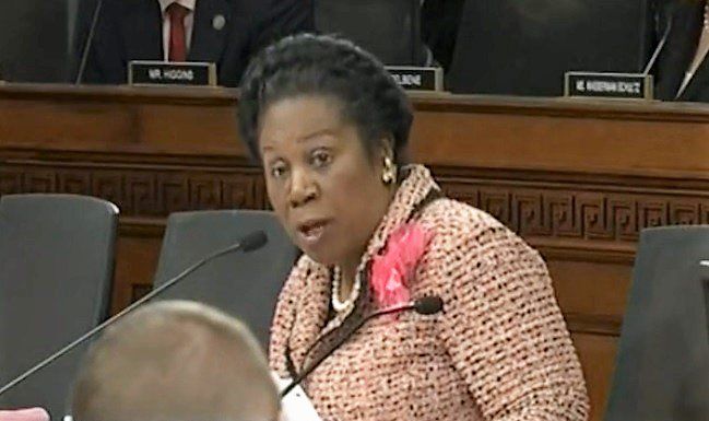 High Quality Sheila Jackson Lee  Blank Meme Template