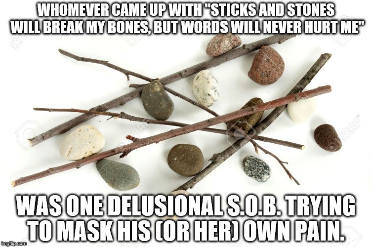 sticks and stones | WHOMEVER CAME UP WITH "STICKS AND STONES WILL BREAK MY BONES, BUT WORDS WILL NEVER HURT ME"; WAS ONE DELUSIONAL S.O.B. TRYING TO MASK HIS (OR HER) OWN PAIN. | image tagged in sticks and stones | made w/ Imgflip meme maker