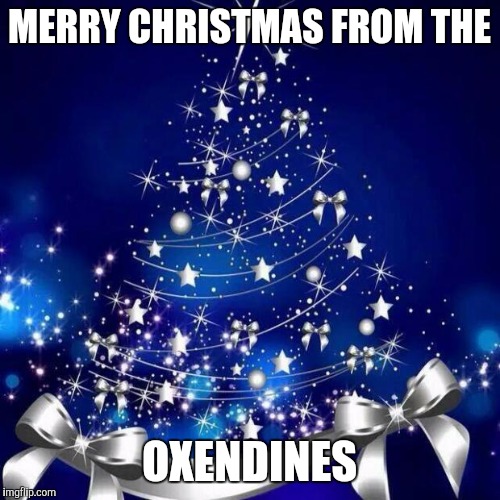 Merry Christmas  | MERRY CHRISTMAS FROM THE; OXENDINES | image tagged in merry christmas | made w/ Imgflip meme maker
