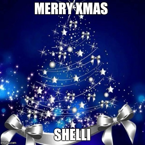 Merry Christmas  | MERRY XMAS; SHELLI | image tagged in merry christmas | made w/ Imgflip meme maker