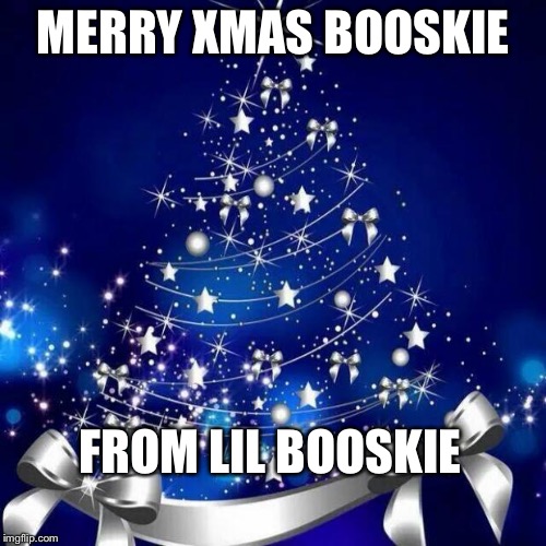 Merry Christmas  | MERRY XMAS BOOSKIE; FROM LIL BOOSKIE | image tagged in merry christmas | made w/ Imgflip meme maker