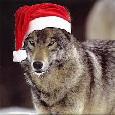Wolf Christmas Blank Meme Template