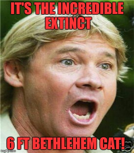 IT'S THE INCREDIBLE EXTINCT 6 FT BETHLEHEM CAT! | made w/ Imgflip meme maker