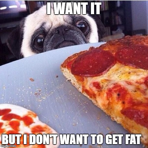 pizza dog | I WANT IT; BUT I DON'T WANT TO GET FAT | image tagged in pizza dog | made w/ Imgflip meme maker