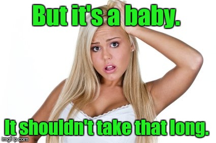 But it's a baby. It shouldn't take that long. | made w/ Imgflip meme maker