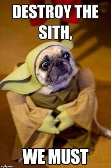 image tagged in dog jedi | made w/ Imgflip meme maker