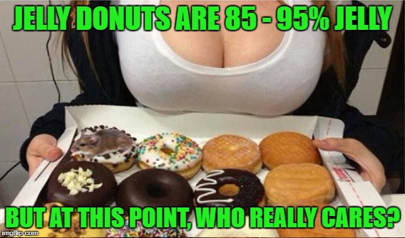 JELLY DONUTS ARE 85 - 95% JELLY BUT AT THIS POINT, WHO REALLY CARES? | made w/ Imgflip meme maker