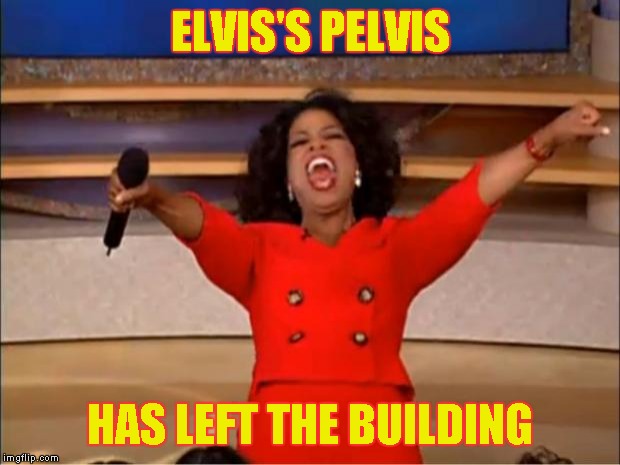 Oprah You Get A Meme | ELVIS'S PELVIS HAS LEFT THE BUILDING | image tagged in memes,oprah you get a | made w/ Imgflip meme maker