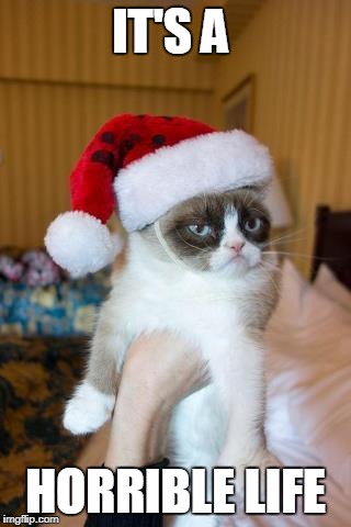 Grumpy Cat Christmas Meme | IT'S A; HORRIBLE LIFE | image tagged in memes,grumpy cat christmas,grumpy cat,movie,title,reverse | made w/ Imgflip meme maker