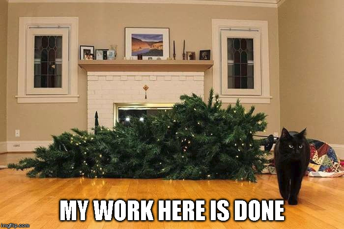 my work here is done | MY WORK HERE IS DONE | image tagged in cats,christmas tree | made w/ Imgflip meme maker