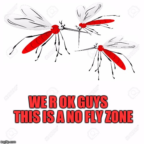 mosquitoes | WE R OK GUYS    THIS IS A NO FLY ZONE | image tagged in no fly zone,mosquitoes | made w/ Imgflip meme maker