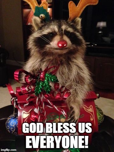 Please be safe! | EVERYONE! GOD BLESS US | image tagged in christmas,god bless us everyone,christmas raccoon | made w/ Imgflip meme maker