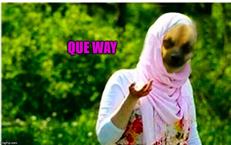 QUE WAY | image tagged in arabey dinkey | made w/ Imgflip meme maker