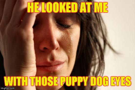 First World Problems Meme | HE LOOKED AT ME WITH THOSE PUPPY DOG EYES | image tagged in memes,first world problems | made w/ Imgflip meme maker