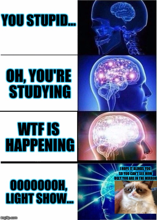disco brain | YOU STUPID... OH, YOU'RE STUDYING; WTF IS HAPPENING; OOOOOOOH, LIGHT SHOW... I HOPE IT BLINDS YOU SO YOU CAN'T SEE HOW UGLY YOU ARE IN THE MIRROR | image tagged in memes,expanding brain,grumpy cat | made w/ Imgflip meme maker
