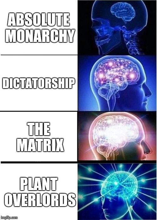 Expanding Brain Meme | ABSOLUTE MONARCHY DICTATORSHIP THE MATRIX PLANT OVERLORDS | image tagged in memes,expanding brain | made w/ Imgflip meme maker