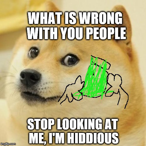 Doge Meme | WHAT IS WRONG WITH YOU PEOPLE; STOP LOOKING AT ME, I'M HIDDIOUS | image tagged in memes,doge | made w/ Imgflip meme maker
