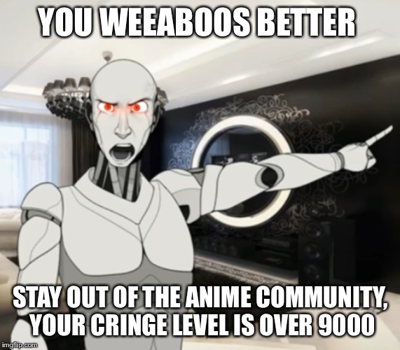 Weeaboos | YOU WEEABOOS BETTER; STAY OUT OF THE ANIME COMMUNITY, YOUR CRINGE LEVEL IS OVER 9000 | image tagged in anime | made w/ Imgflip meme maker