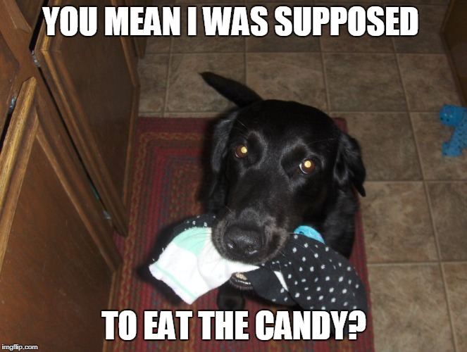 YOU MEAN I WAS SUPPOSED TO EAT THE CANDY? | made w/ Imgflip meme maker
