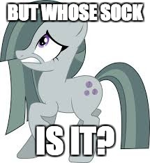 Marble Pie scared | BUT WHOSE SOCK IS IT? | image tagged in marble pie scared | made w/ Imgflip meme maker