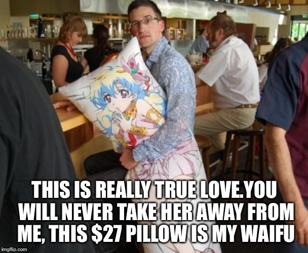 This meme is my waifu | THIS IS REALLY TRUE LOVE.YOU WILL NEVER TAKE HER AWAY FROM ME, THIS $27 PILLOW IS MY WAIFU | image tagged in shipping,weaboo,anime,animeme,pillow,hatsune miku | made w/ Imgflip meme maker