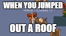 WHEN YOU JUMPED; OUT A ROOF | made w/ Imgflip meme maker