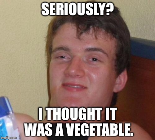 10 Guy Meme | SERIOUSLY? I THOUGHT IT WAS A VEGETABLE. | image tagged in memes,10 guy | made w/ Imgflip meme maker