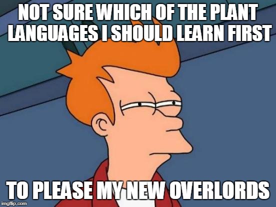 Futurama Fry Meme | NOT SURE WHICH OF THE PLANT LANGUAGES I SHOULD LEARN FIRST TO PLEASE MY NEW OVERLORDS | image tagged in memes,futurama fry | made w/ Imgflip meme maker