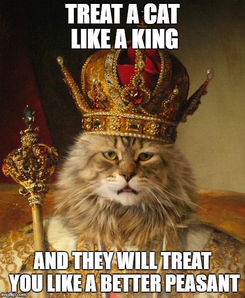 TREAT A CAT LIKE A KING; AND THEY WILL TREAT YOU LIKE A BETTER PEASANT | image tagged in cats,funny | made w/ Imgflip meme maker