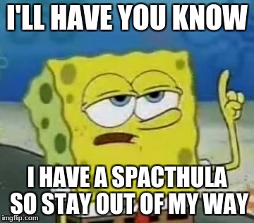 I'll Have You Know Spongebob Meme | I'LL HAVE YOU KNOW; I HAVE A SPACTHULA SO STAY OUT OF MY WAY | image tagged in memes,ill have you know spongebob | made w/ Imgflip meme maker