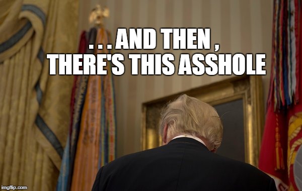 . . . AND THEN , THERE'S THIS ASSHOLE | image tagged in trump | made w/ Imgflip meme maker