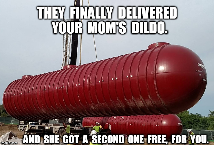 The Finally Delivered Your Mom's Dildo | THEY  FINALLY  DELIVERED  YOUR  MOM'S  DILDO. AND  SHE  GOT  A  SECOND  ONE  FREE,  FOR  YOU. | image tagged in your mom,dildo | made w/ Imgflip meme maker