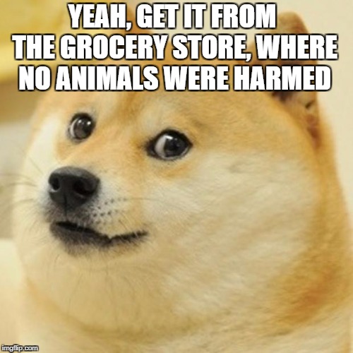 Doge Meme | YEAH, GET IT FROM THE GROCERY STORE, WHERE NO ANIMALS WERE HARMED | image tagged in memes,doge | made w/ Imgflip meme maker