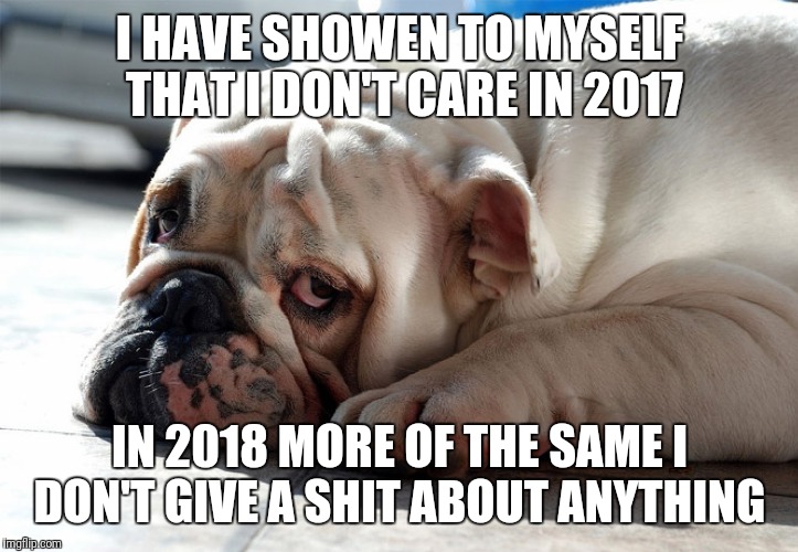 I Don't Care Dog | I HAVE SHOWEN TO MYSELF THAT I DON'T CARE IN 2017; IN 2018 MORE OF THE SAME I DON'T GIVE A SHIT ABOUT ANYTHING | image tagged in i don't care dog | made w/ Imgflip meme maker
