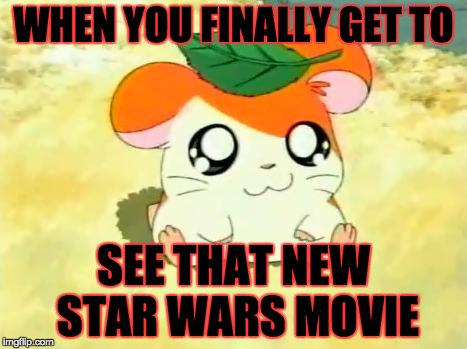 Hamtaro | WHEN YOU FINALLY GET TO; SEE THAT NEW STAR WARS MOVIE | image tagged in memes,hamtaro | made w/ Imgflip meme maker