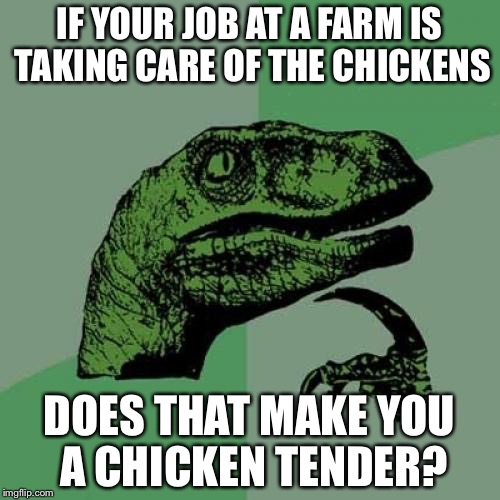 Philosoraptor | IF YOUR JOB AT A FARM IS TAKING CARE OF THE CHICKENS; DOES THAT MAKE YOU A CHICKEN TENDER? | image tagged in memes,philosoraptor | made w/ Imgflip meme maker